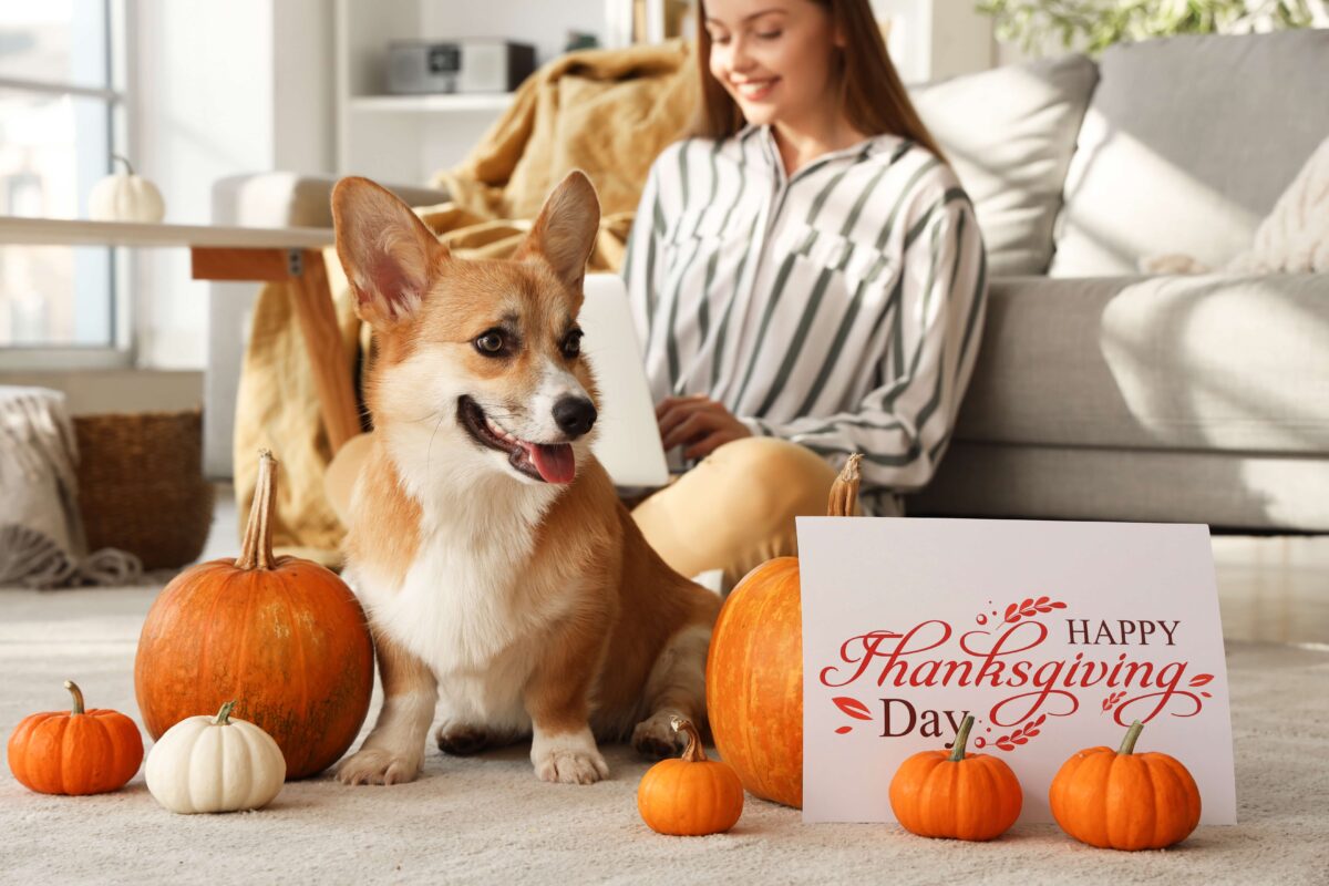 Happy Thanksgiving sign with a corgi dog and its owner in the background, illustrating safe and unsafe foods for pets during the holiday.