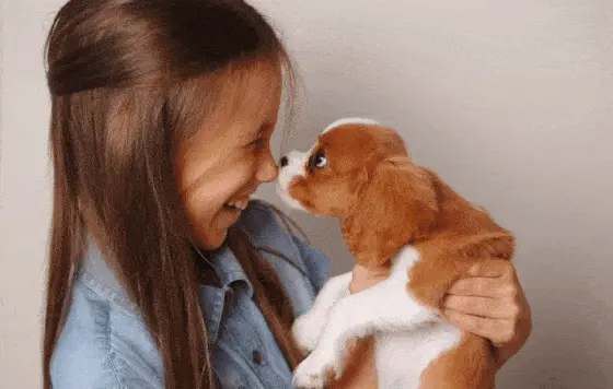 A cocker spaniel puppy licking the nose of a giggling little girl, symbolizing the joyful reunion after a pet transport.