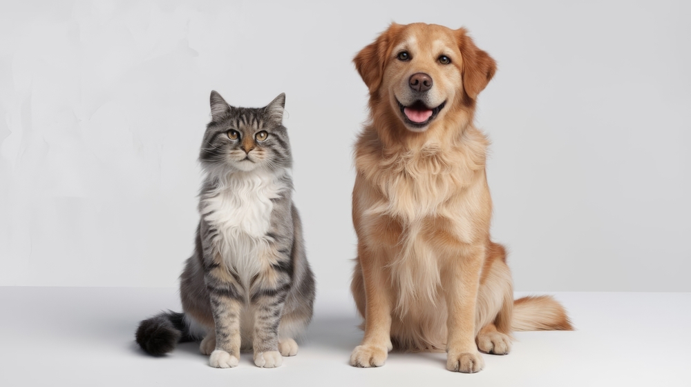 A cat and dog sitting side by side, staring into the camera—symbolizing the global importance of pet-friendly cities.