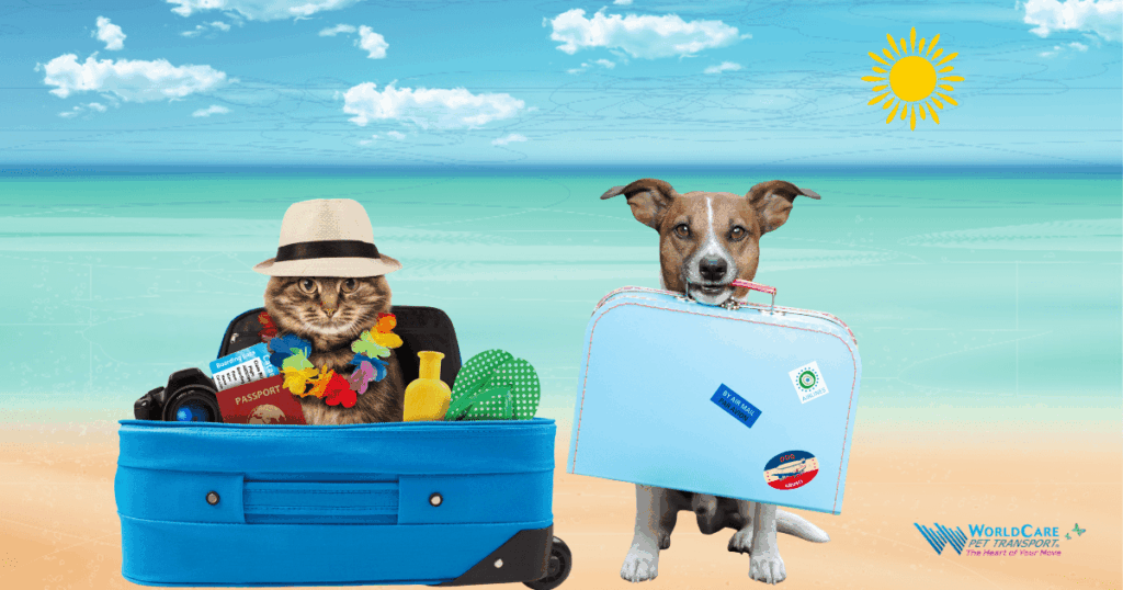 WorldCare Pet Transport: cat and dog packed for travel with luggage and passport on a beach.