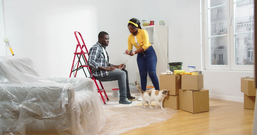 Featured image for “How to Choose the Right Pet Relocation Partner: Red Flags to Watch For”