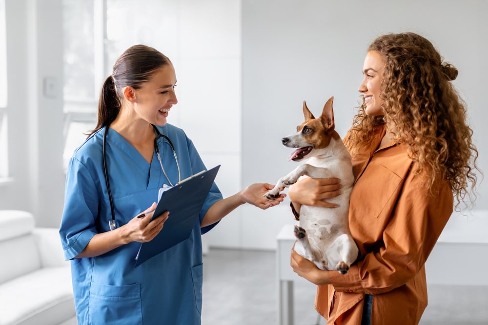 Dog held by its female owner during vet consultation, with friendly veterinarian taking notes on pets medication.