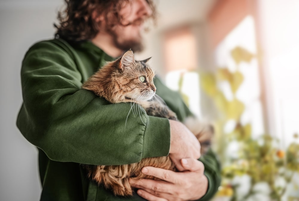 Bearded man hugging a cat by the window with flowerpots and sunlight