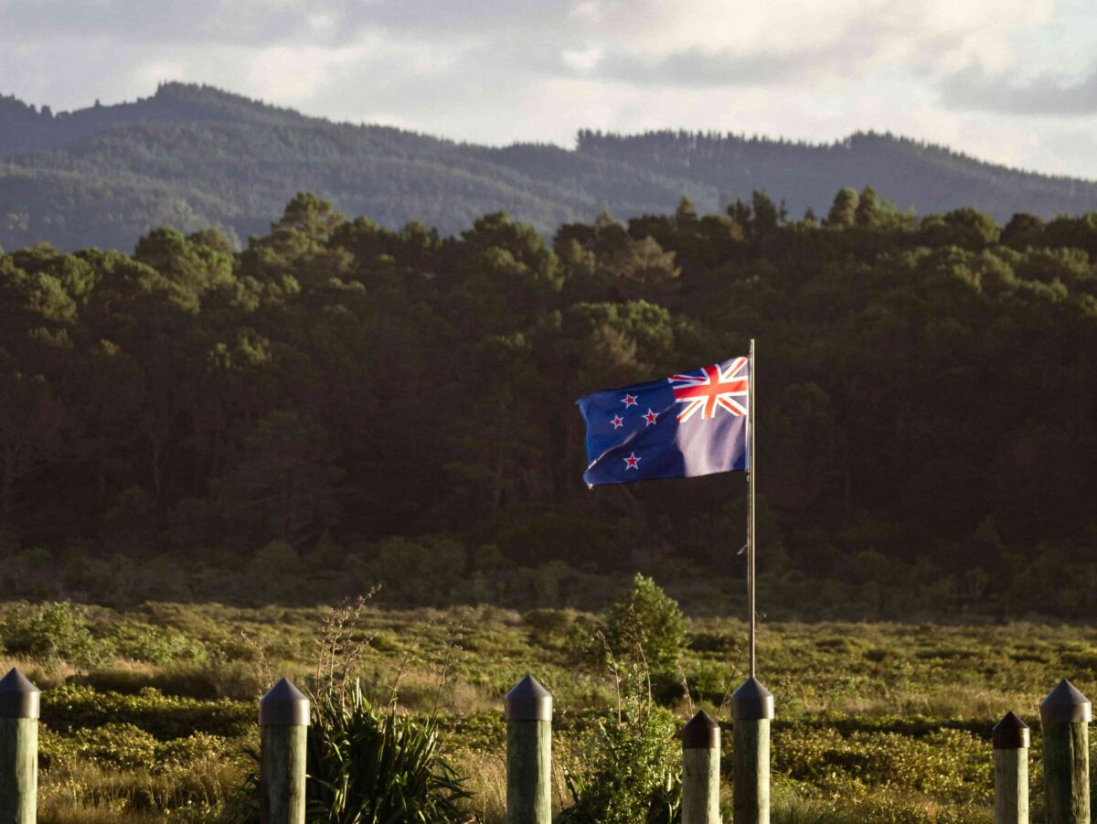 New Zealand flag in a forest clearing, symbolizing pet transport to New Zealand.