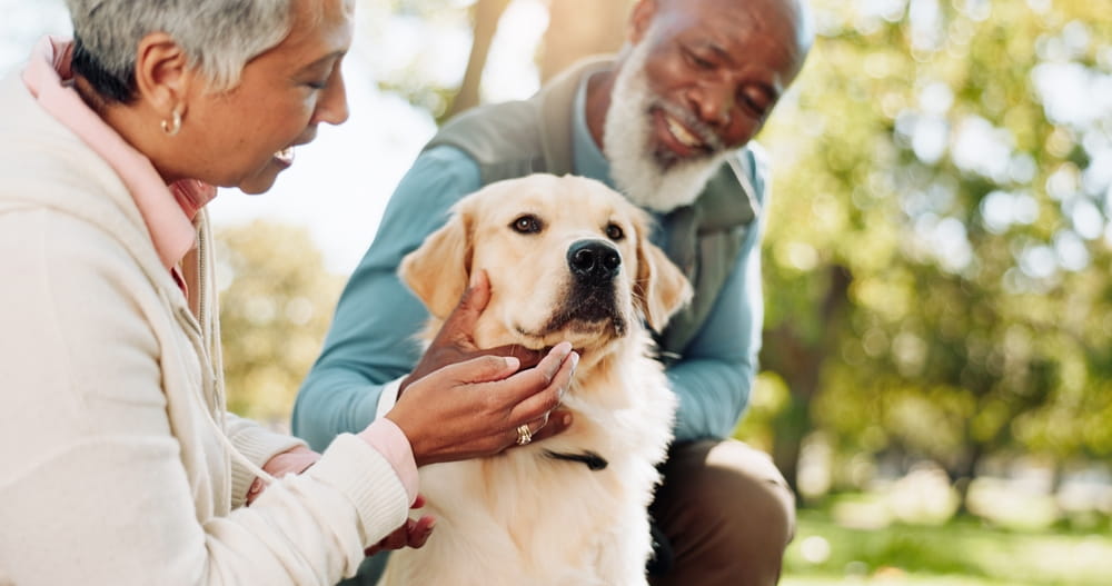 Older couple outdoors gently holding and comforting their dog, representing retirees planning an international move with a pet.