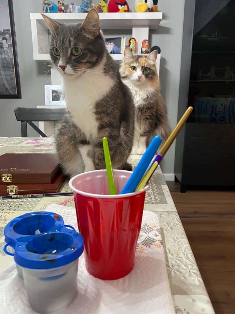 Gray and white tabby cat and long-haired calico cat sitting on a table beside a cup of paintbrushes